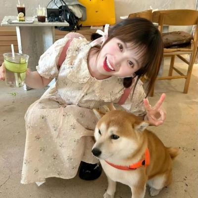 内阁作战室 第一季